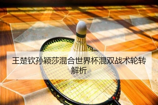 wang-chu-qin-sun-ying-sha-hun-he-shi-jie-bei-hun-shuang-zhan-shu-lun-zhuan-jie-xi-2-191.jpg