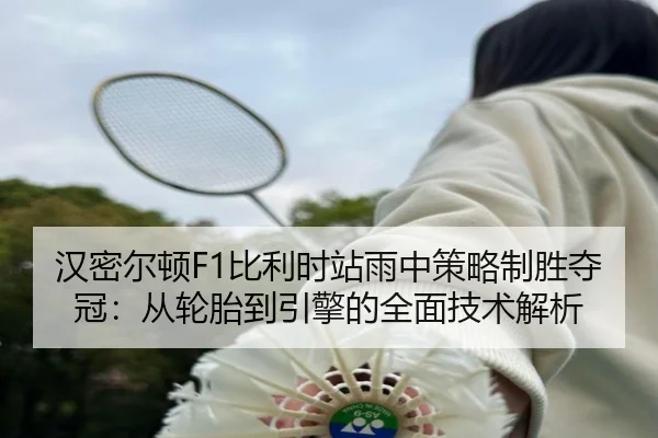 han-mi-er-dun-bi-li-shi-zhan-yu-zhong-ce-lve-zhi-sheng-duo-guan-cong-lun-tai-dao-yin-qing-de-quan-mian-ji-shu-jie-xi-3-925.jpg