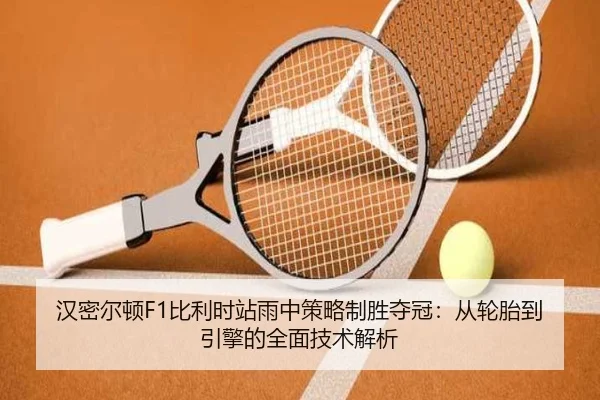 汉密尔顿F1比利时站雨中策略制胜夺冠：从轮胎到引擎的全面技术解析