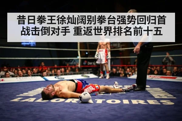 昔日拳王徐灿阔别拳台强势回归首战击倒对手 重返世界排名前十五